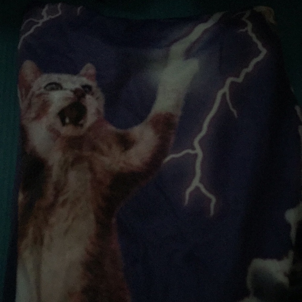 Cat jacket - Picture 3 of 3